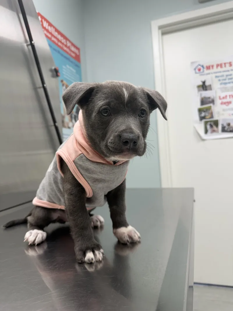 Lucy Lue thumbnail 5