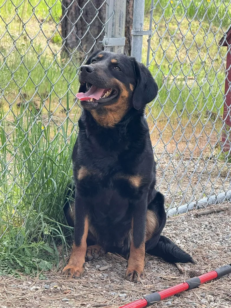 Ruby