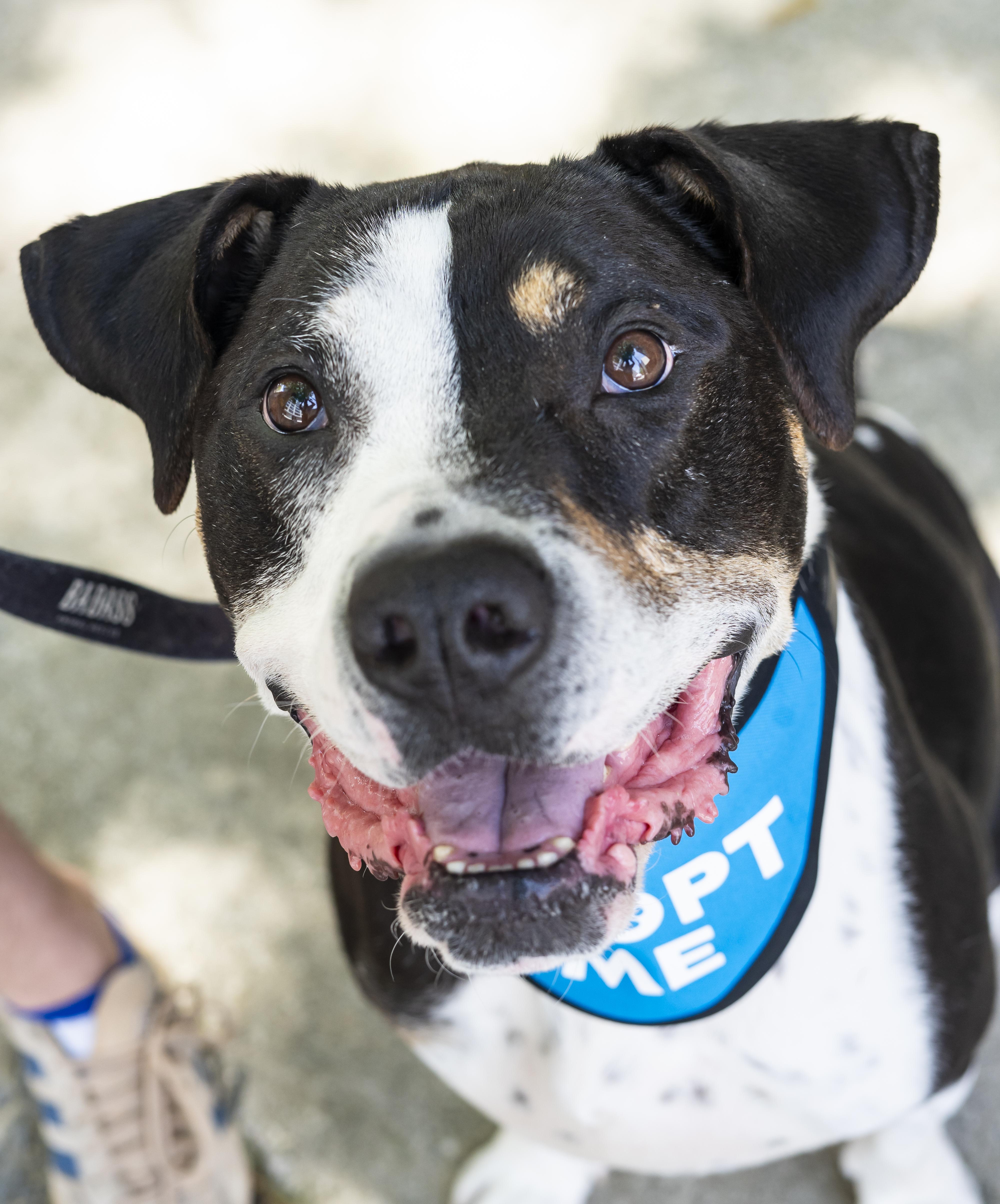 Bob Dylan thumbnail 6