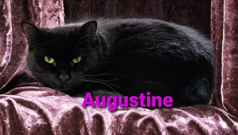 Augustine thumbnail 5