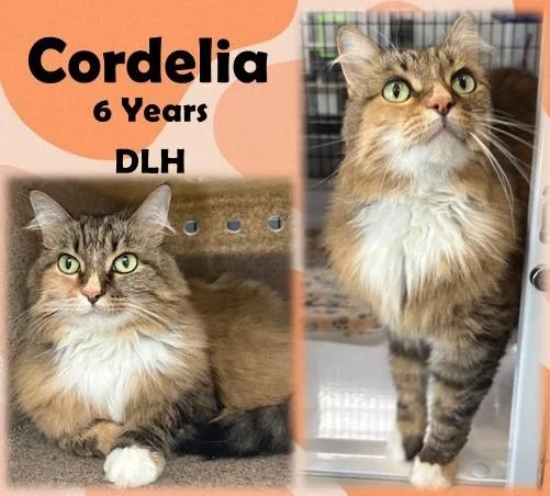 Cordelia