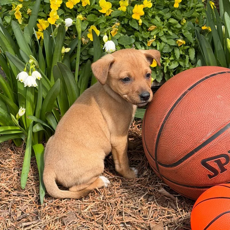 Loyola Chicago thumbnail 2