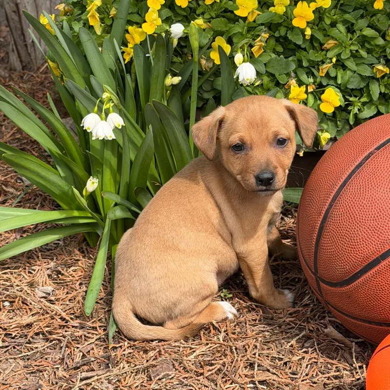 Loyola Chicago thumbnail 3