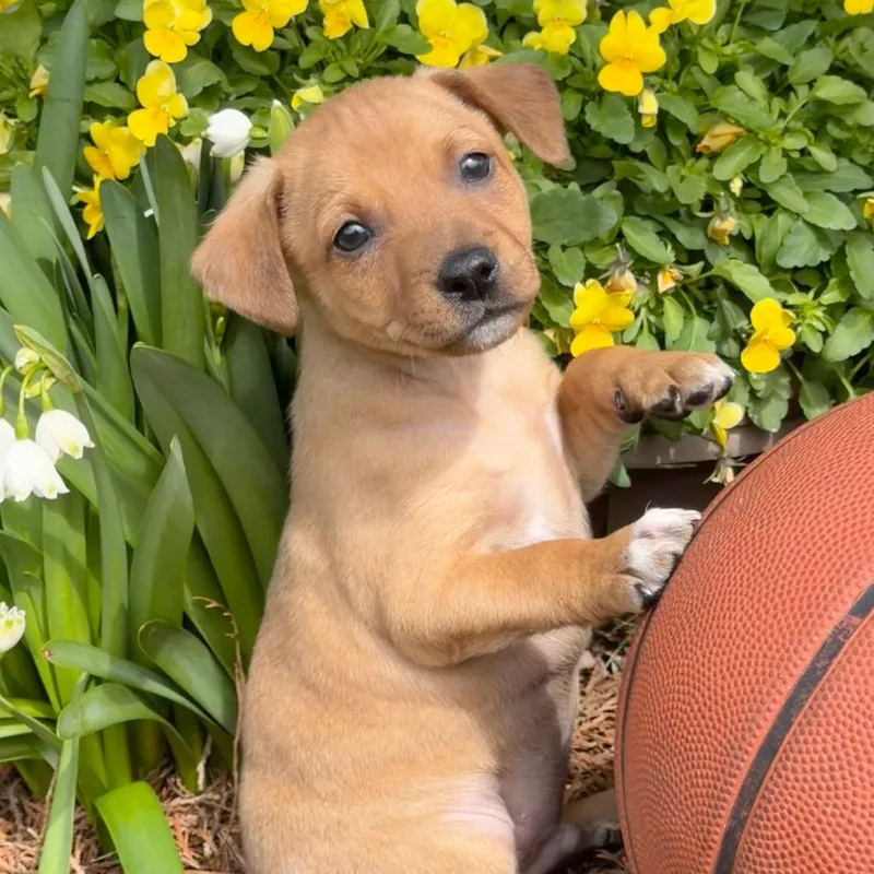 Loyola Chicago thumbnail 5