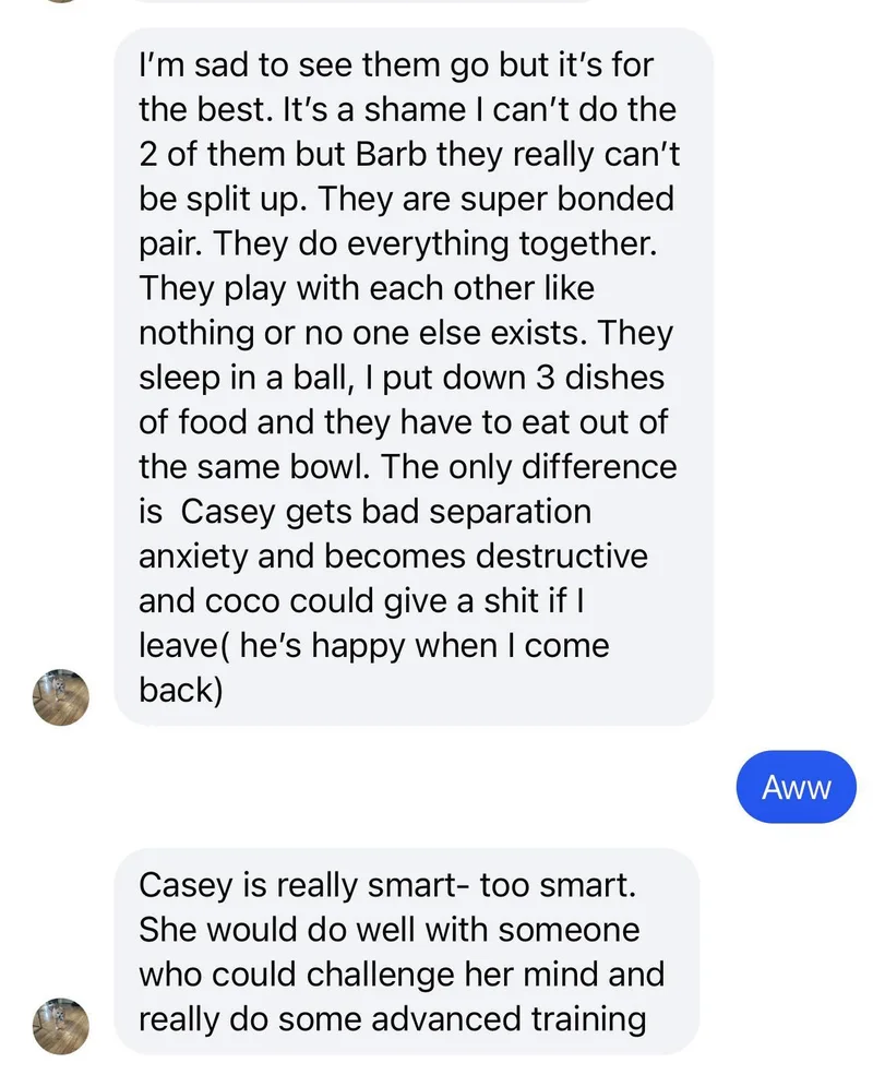 Coco And Casey Siblings thumbnail 2