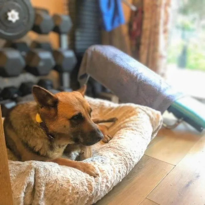 Evangeline thumbnail 2