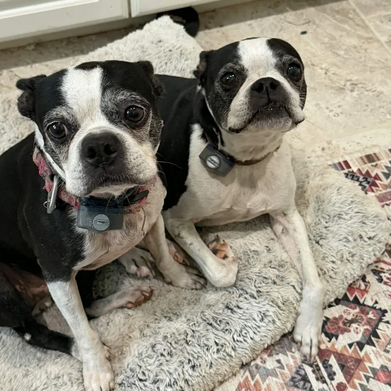 Bruno and Reina thumbnail 4
