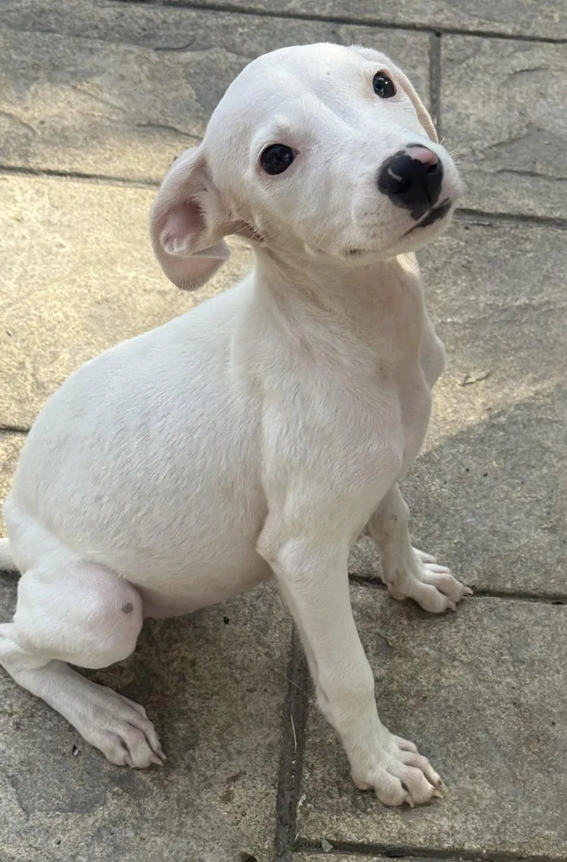 Matilda