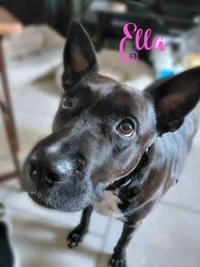 Ella thumbnail 4