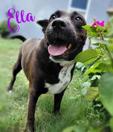 Ella thumbnail 6