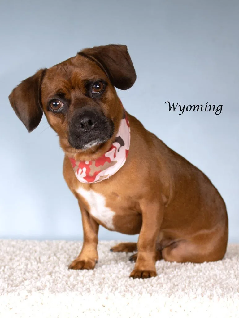 Wyoming
