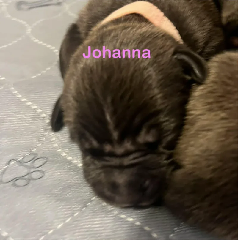 Johanna thumbnail 2