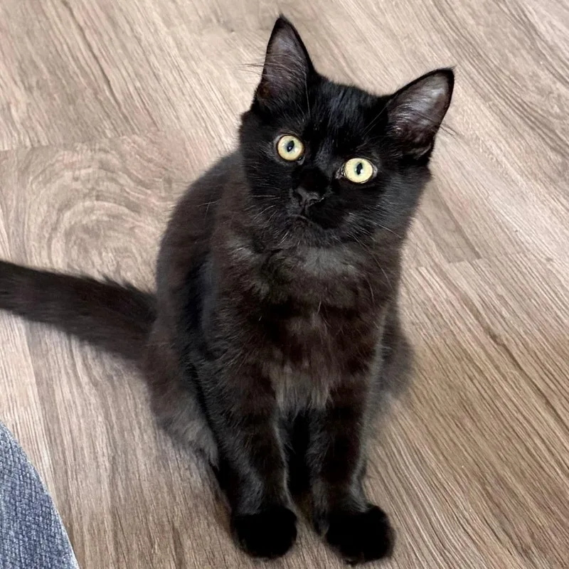 Winnie