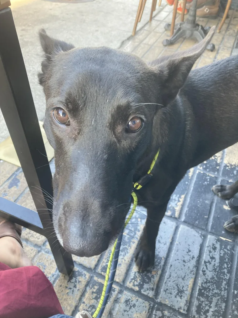 Charlie T thumbnail 2