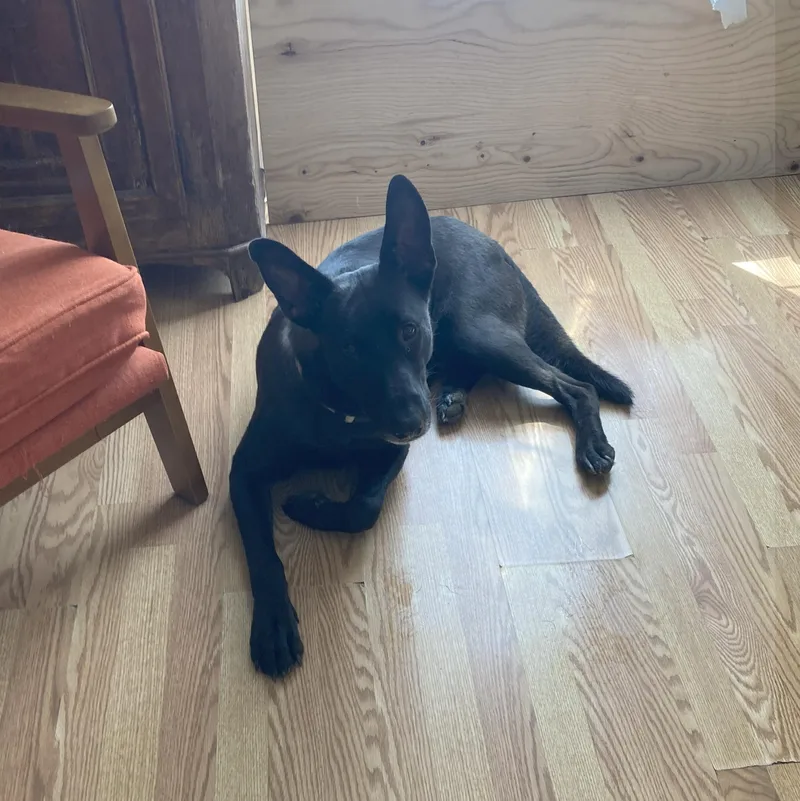 Charlie T thumbnail 3