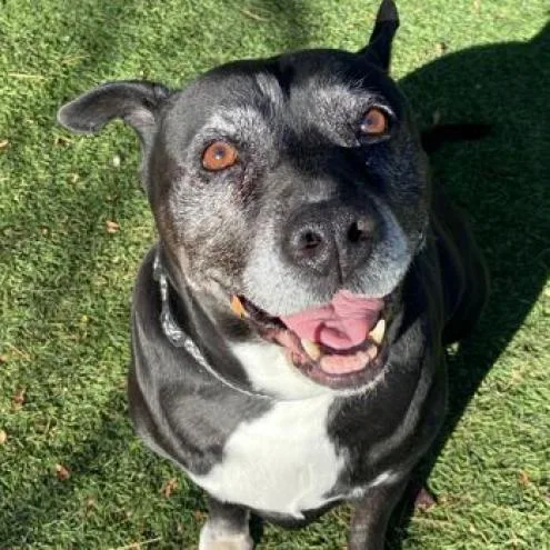 Precious thumbnail 2