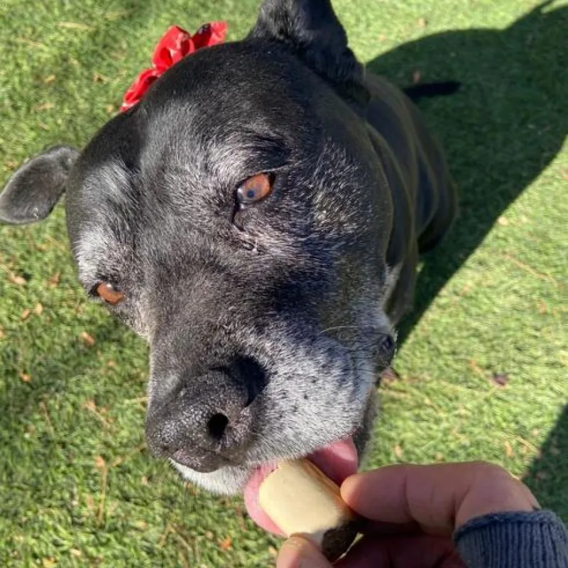 Precious thumbnail 3