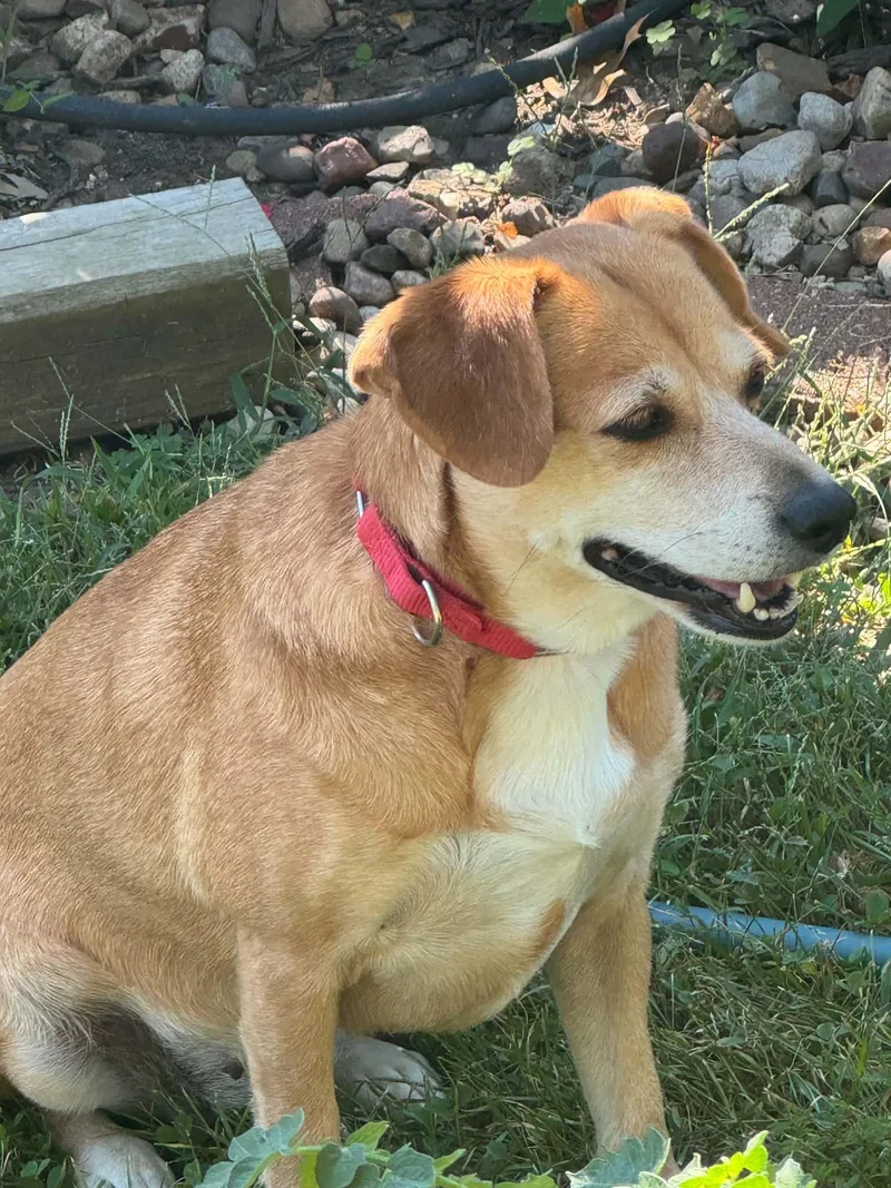 Bailey thumbnail 2