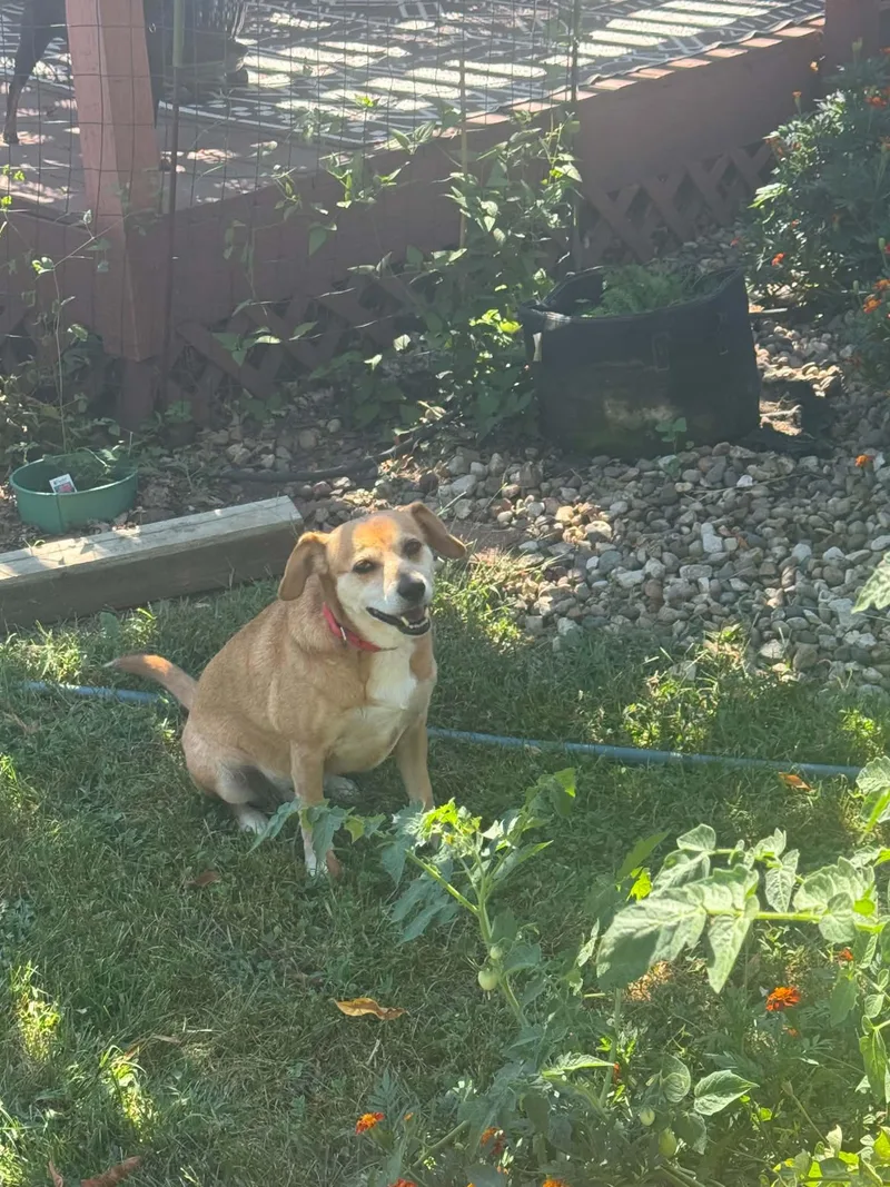 Bailey thumbnail 3