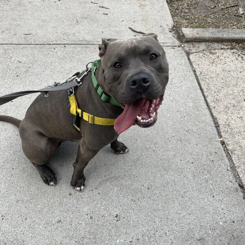 Silverware thumbnail 2