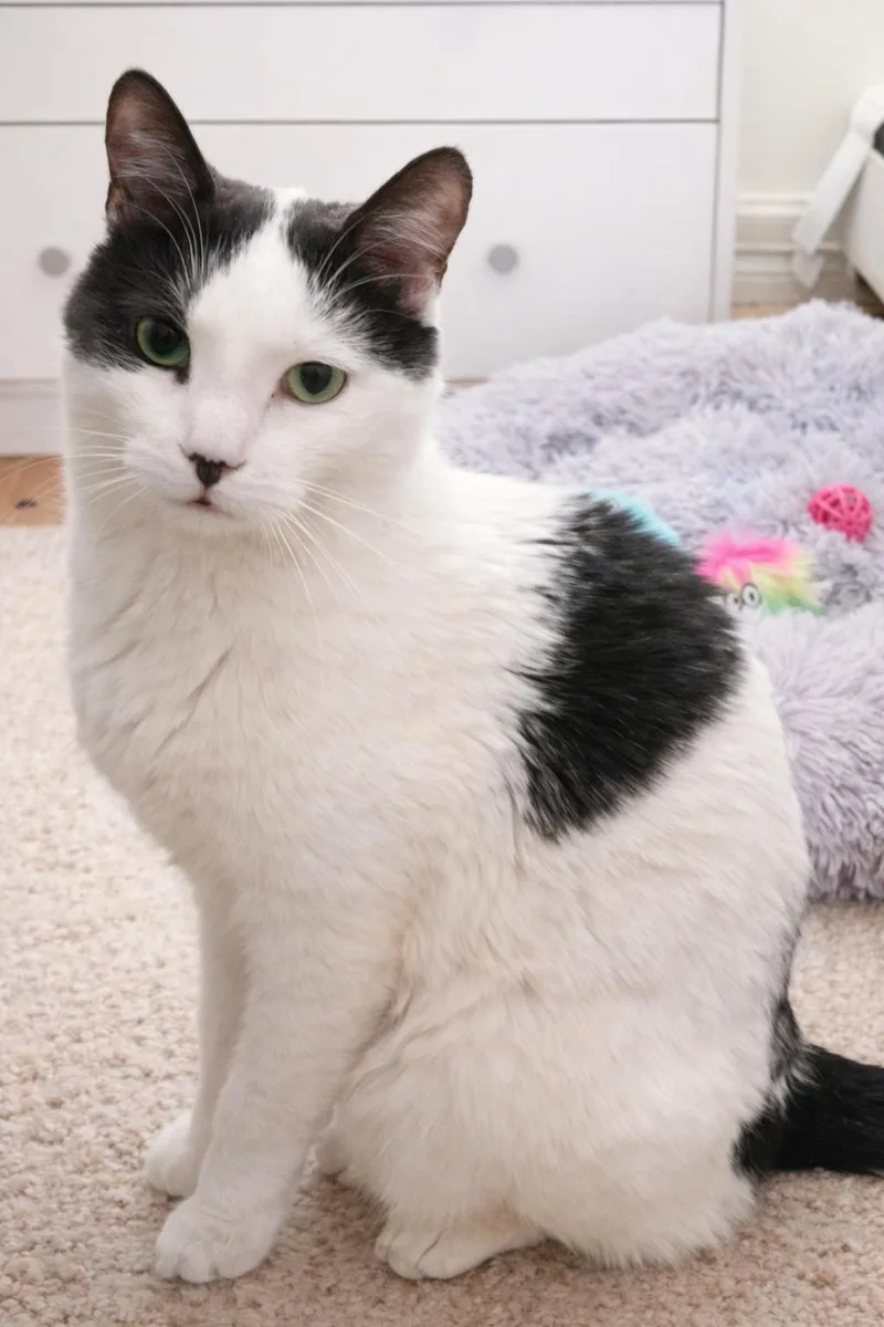 Don Julio thumbnail 2