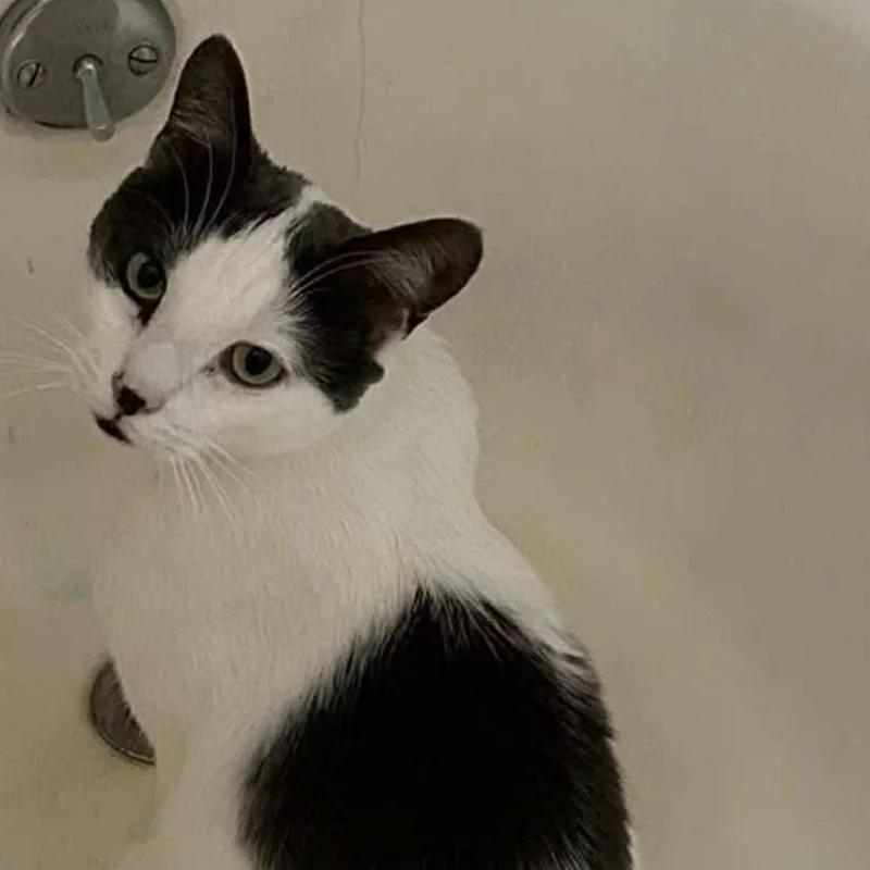 Don Julio thumbnail 4