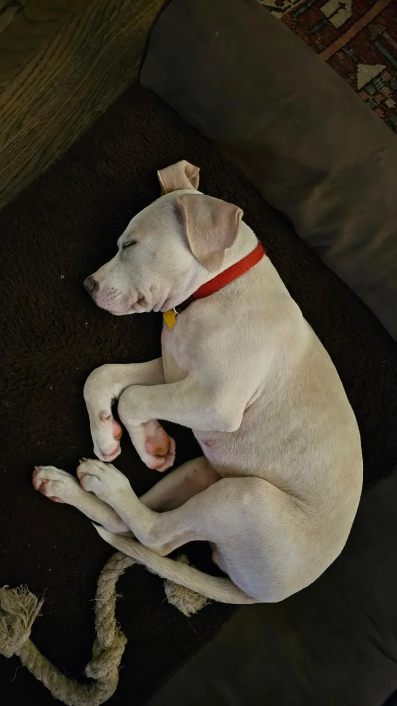 Wrigley thumbnail 2