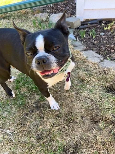Lucy