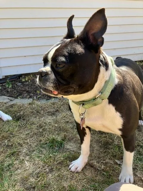 Lucy thumbnail 3