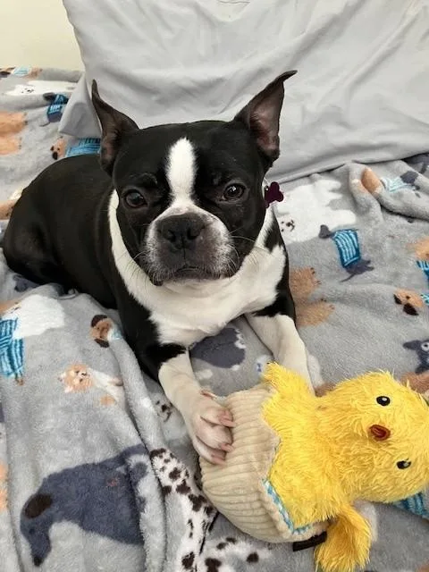 Lucy thumbnail 5