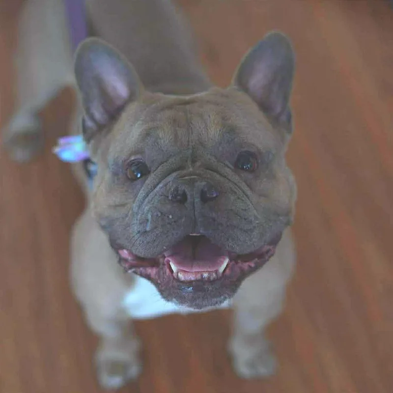 Peaches thumbnail 2