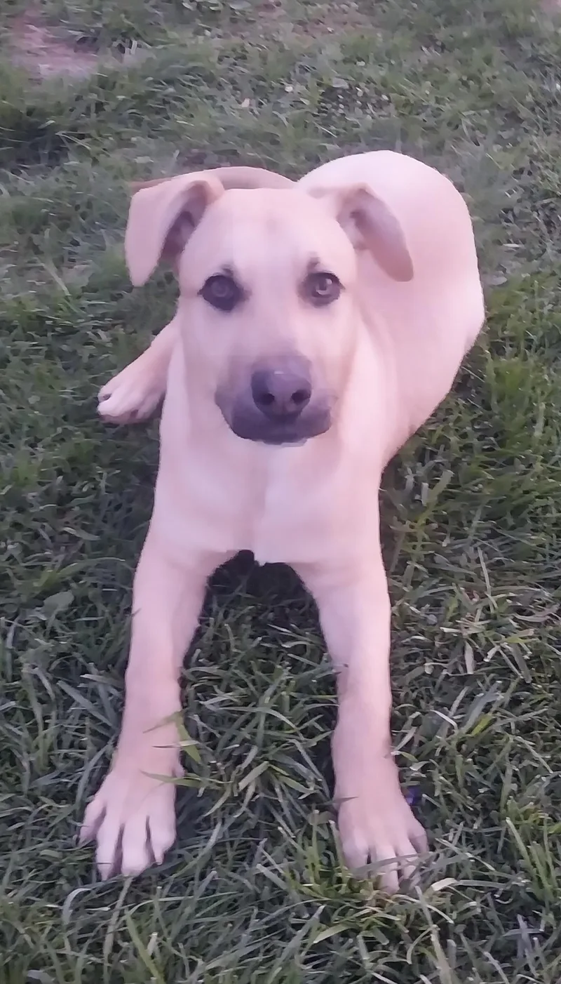 Maverick thumbnail 4