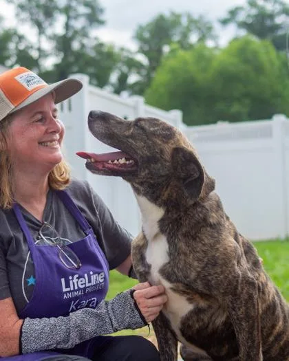 An adult large-sized female Mixed Breed dog named Linda for adoption in Chamblee, GA