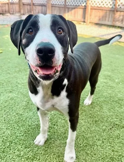 Traveler thumbnail 2