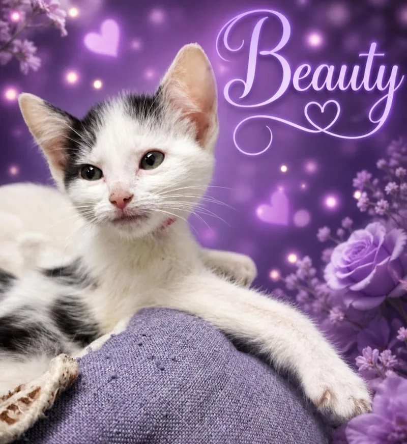 Beauty thumbnail 2
