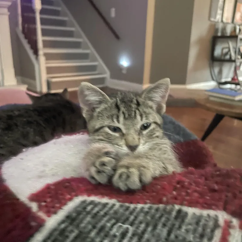 Wazowski thumbnail 2