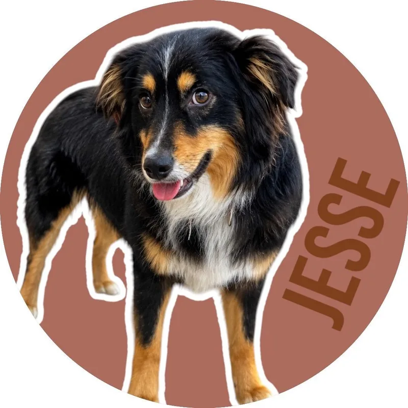 Jesse thumbnail 5