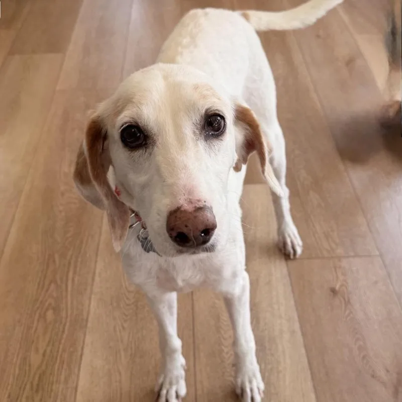 Ellie Mae thumbnail 2