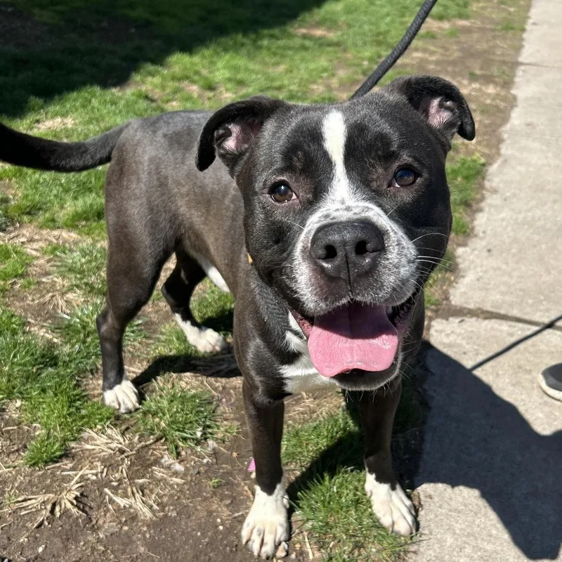 Norman Thayer thumbnail 2