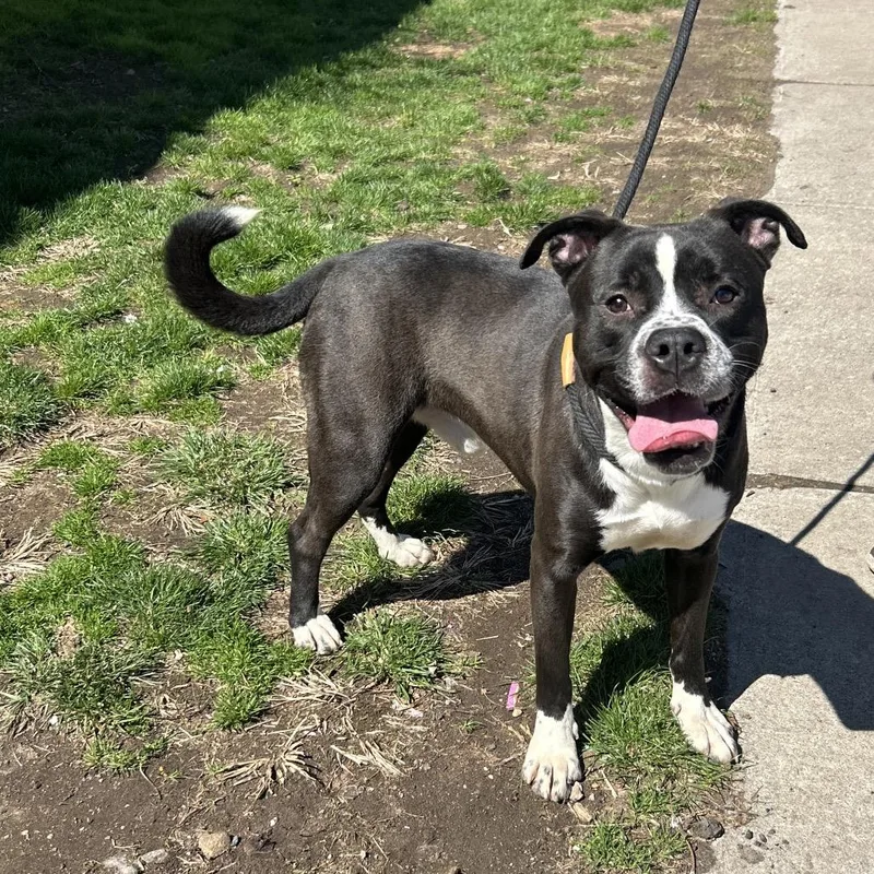 Norman Thayer thumbnail 3