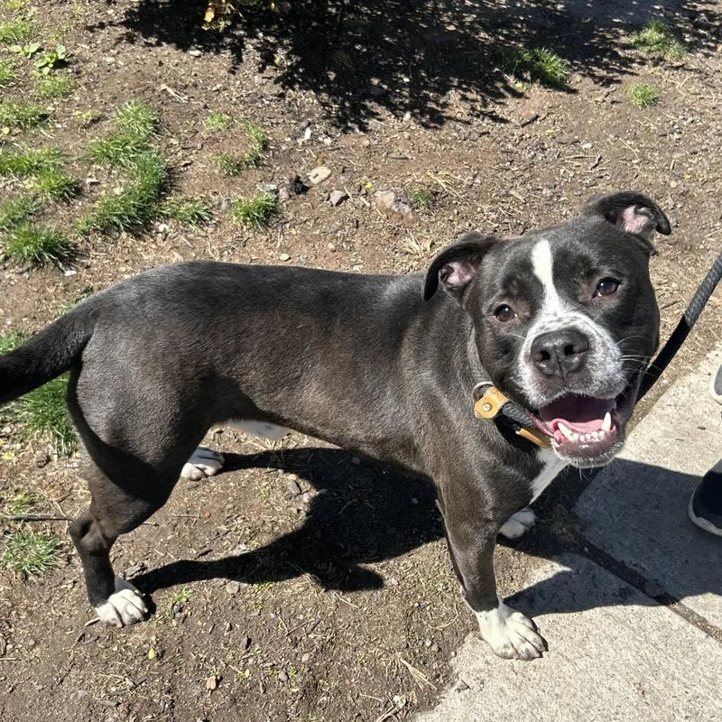 Norman Thayer thumbnail 5