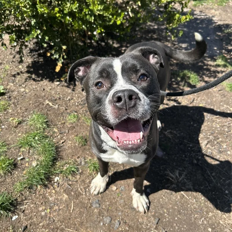 Norman Thayer thumbnail 6