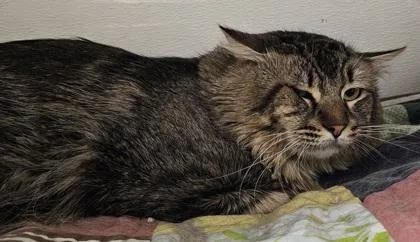 Sir William Edwards thumbnail 2