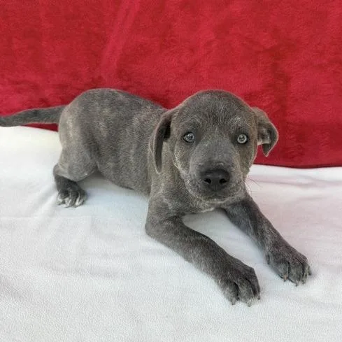 Wildwonder thumbnail 2