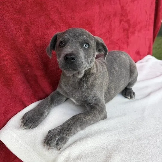 Wildwonder thumbnail 3