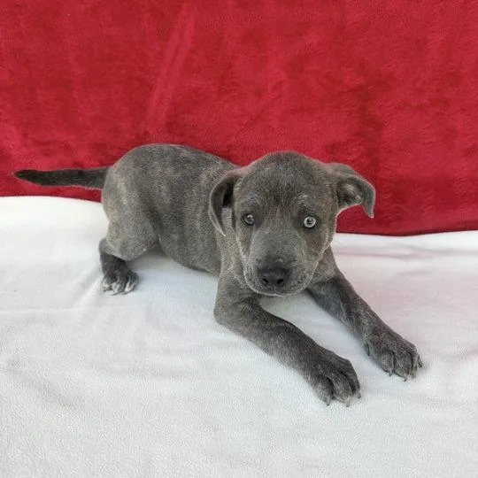 Wildwonder thumbnail 4