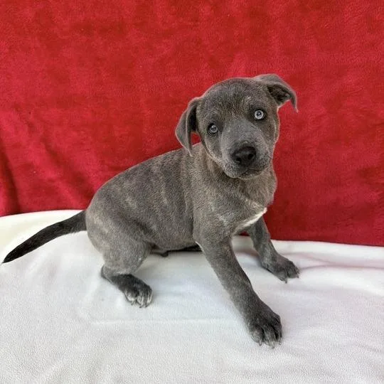 Wildwonder thumbnail 5