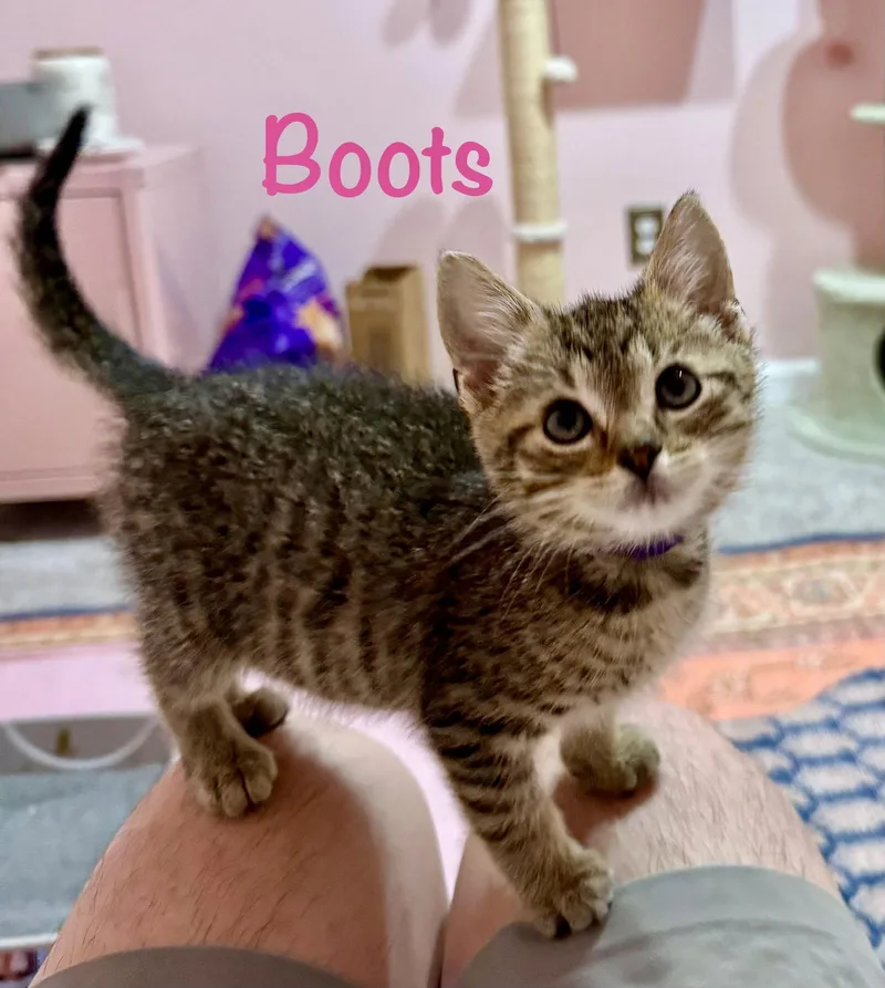 Boots thumbnail 3