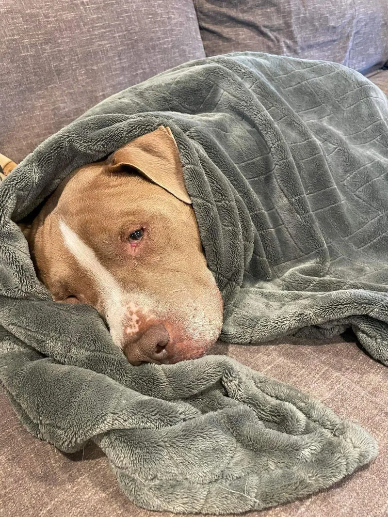 Oklahoma thumbnail 2