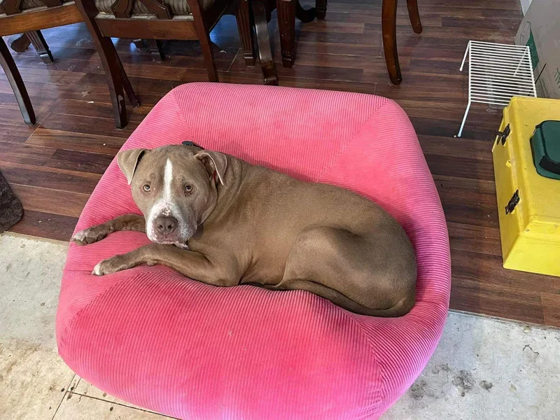 Oklahoma thumbnail 3